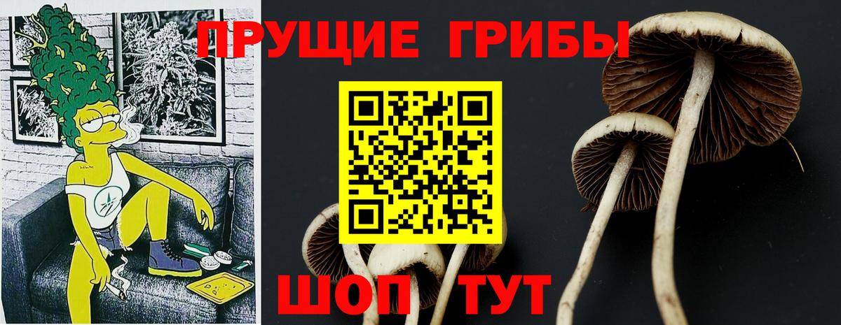 Галлюциногенные грибы мицелий  Галлюциногенные грибы GOLDEN TEACHER  Вход с VPN  купить закладку  Салават 